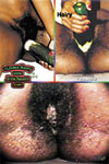 Erotic Teasers Volume 006 Front Hairy Pussy