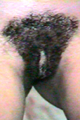 Erotic Teasers Volume 019 Front Hairy Pussy