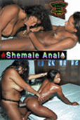 Erotic Teasers Volume 244 Shemales Front Anal
